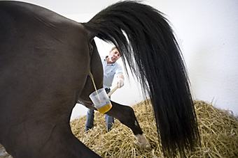 An example picture for you to enjoy