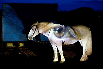 An example picture for you to enjoy