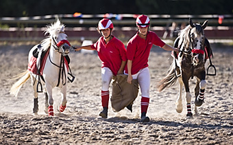 An example picture for you to enjoy