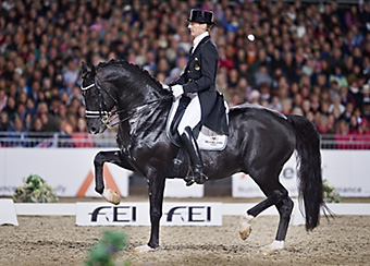 An example picture for you to enjoy