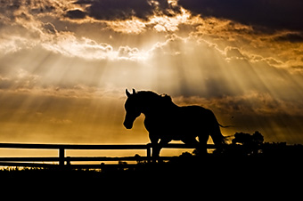 An example picture for you to enjoy