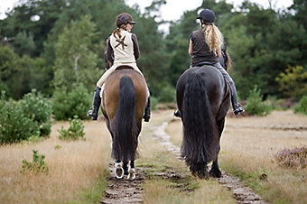 An example picture for you to enjoy