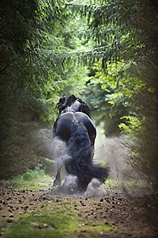 An example picture for you to enjoy