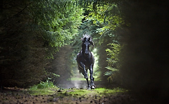 An example picture for you to enjoy