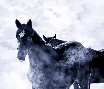 An example picture for you to enjoy