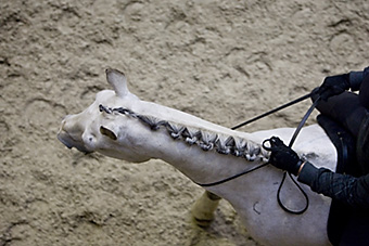 An example picture for you to enjoy