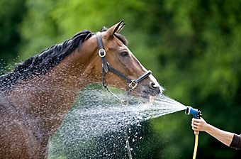 An example picture for you to enjoy