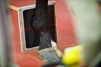 An example picture for you to enjoy