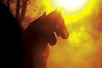 An example picture for you to enjoy