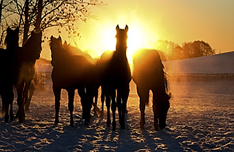 An example picture for you to enjoy