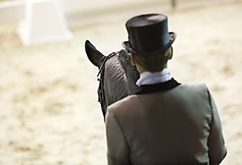 An example picture for you to enjoy