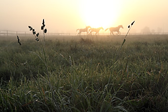 An example picture for you to enjoy