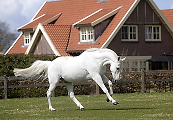 An example picture for you to enjoy