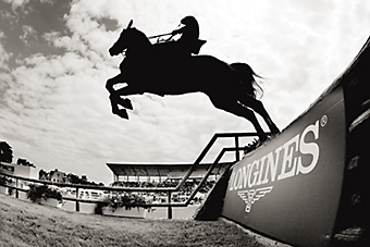 An example picture for you to enjoy