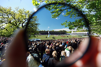 An example picture for you to enjoy