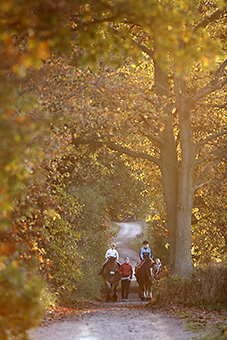 An example picture for you to enjoy