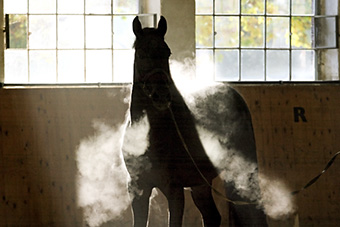 An example picture for you to enjoy