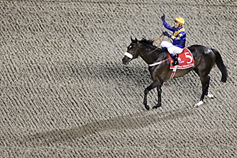 An example picture for you to enjoy