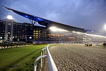 An example picture for you to enjoy