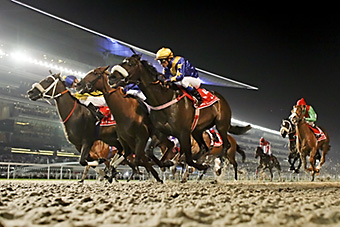 An example picture for you to enjoy