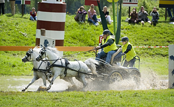 An example picture for you to enjoy