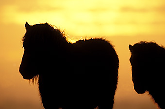 An example picture for you to enjoy