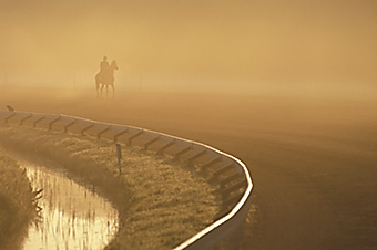 An example picture for you to enjoy