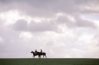 An example picture for you to enjoy