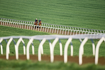 An example picture for you to enjoy